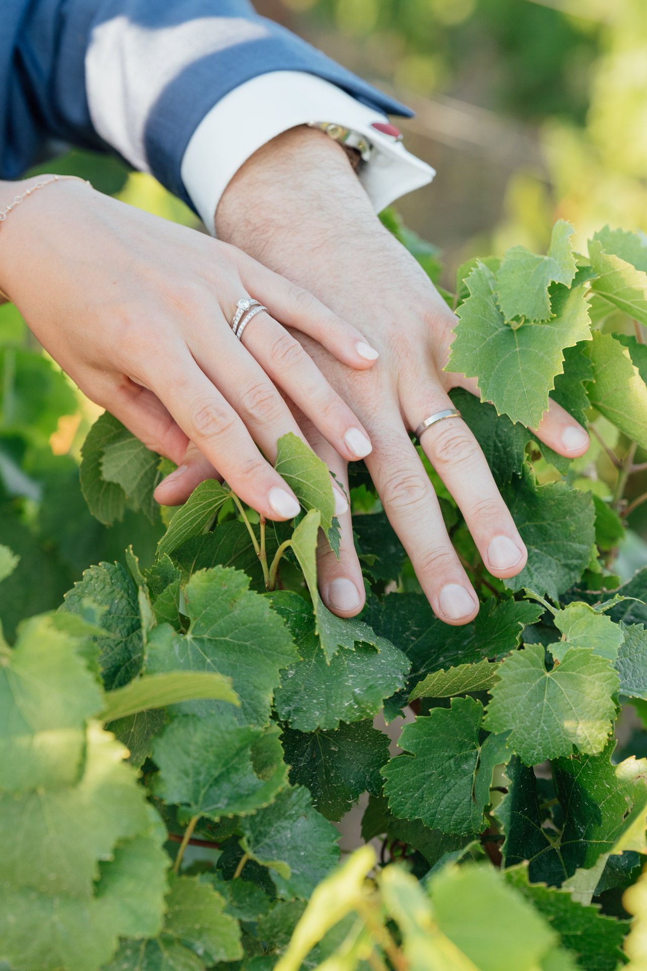 Photo de mariage par vh-photo - Galerie