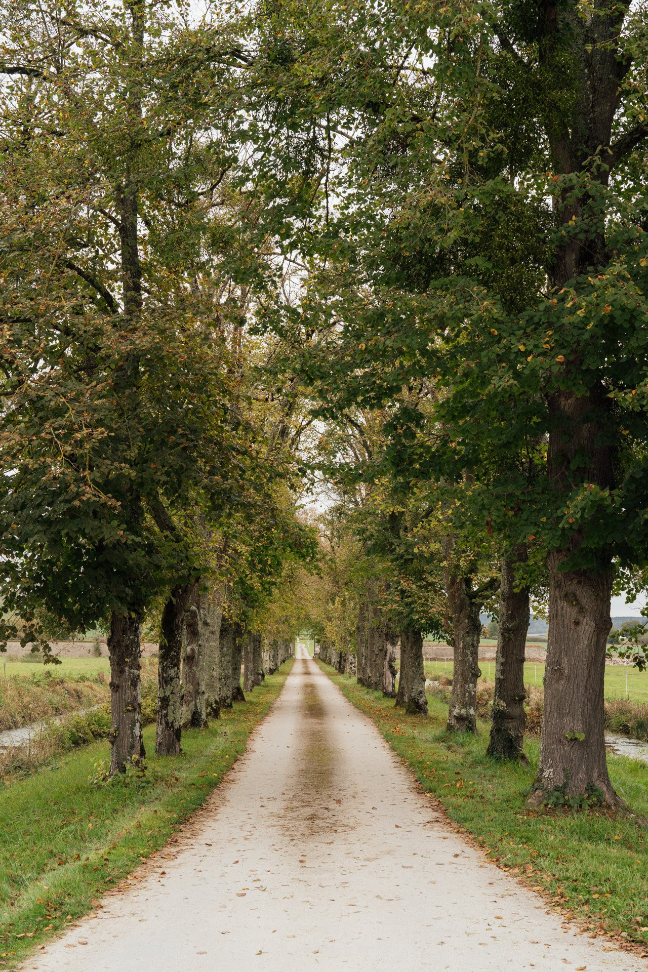 Photo de mariage par vh-photo - Galerie