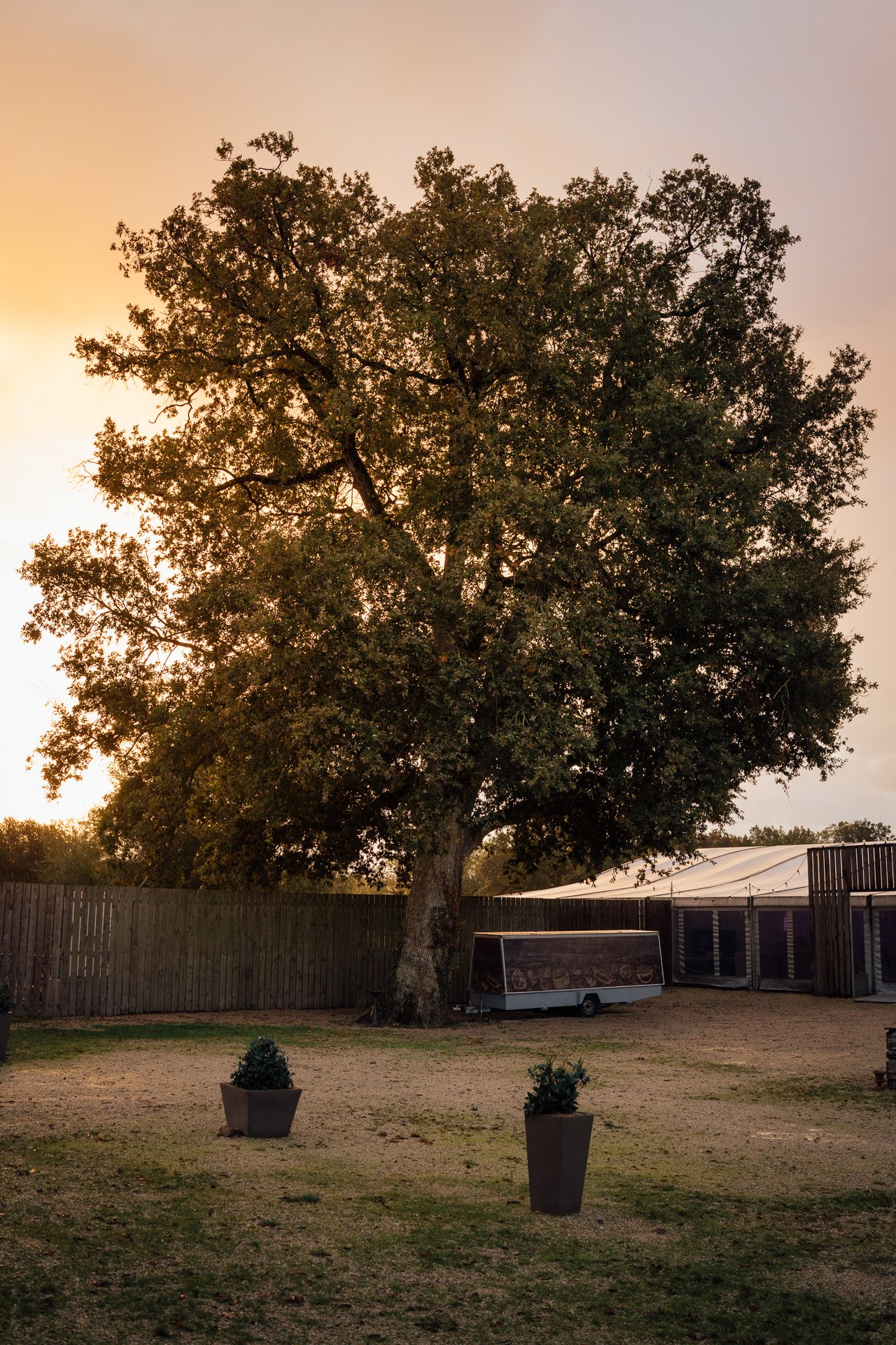 Photo de mariage par vh-photo - Galerie